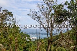 CLEAR WATER BAY | Luxury Detached Village House For Rent